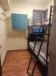 Sims Urban Oasis (D14), Condominium #434191951